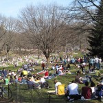 spring in central park 006